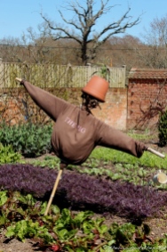 Kitchen Garden Scarecrow